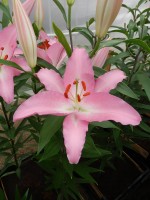 [4203 Marrero CT No02.JPG]